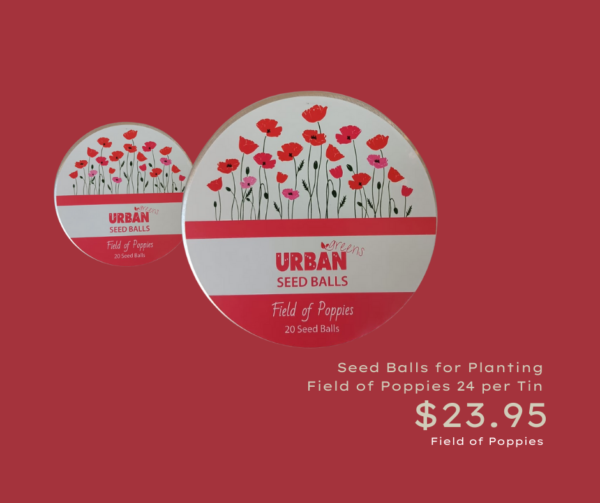 Urban Greens Seed Balls for Planting Field of Poppies 24 per Tin